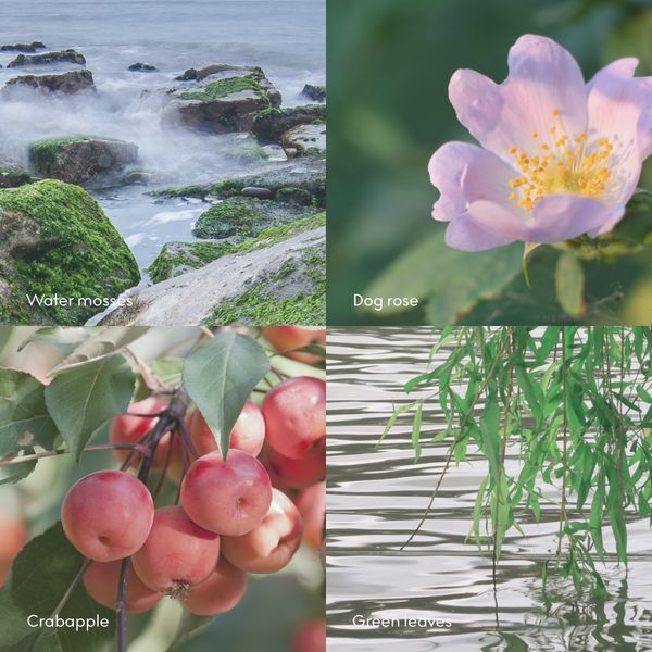 Hovedbilde Skandinavisk DUFTLYS Øy 200g 