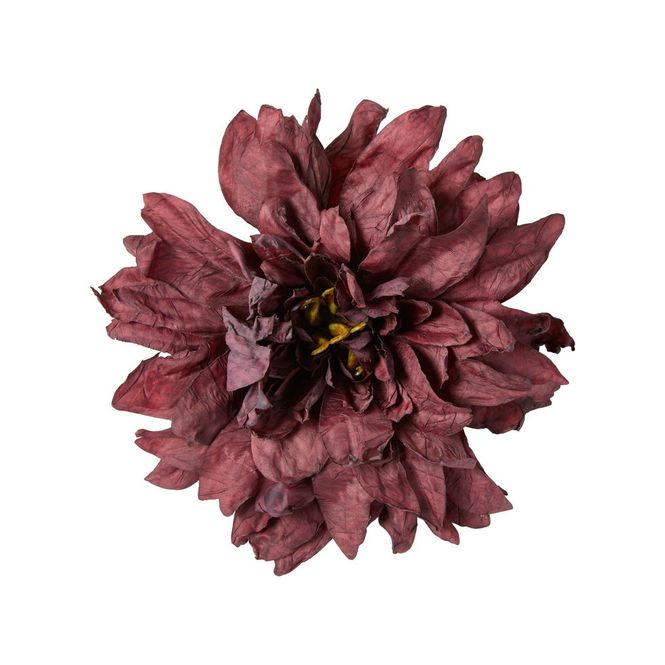 Hovedbilde Speedtsberg GEORGINE ...