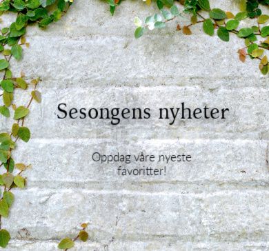vårnyheter nyheter i butikk vår sommer inspirasjon tulipaner interiør velvære interiørbutikk gavebutikk